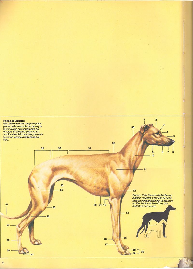 © Lucas Momparler - Image from the Where the acanthus rest photography project