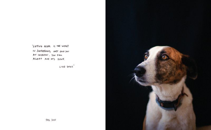 © Lucas Momparler - Image from the Where the acanthus rest photography project