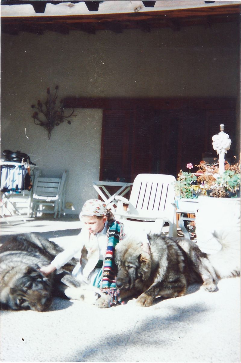 © Lucas Momparler - Image from the Where the acanthus rest photography project