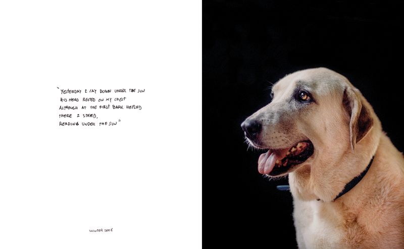 © Lucas Momparler - Image from the Where the acanthus rest photography project