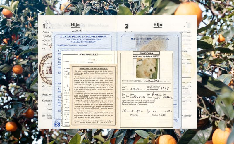 © Lucas Momparler - Image from the Where the acanthus rest photography project