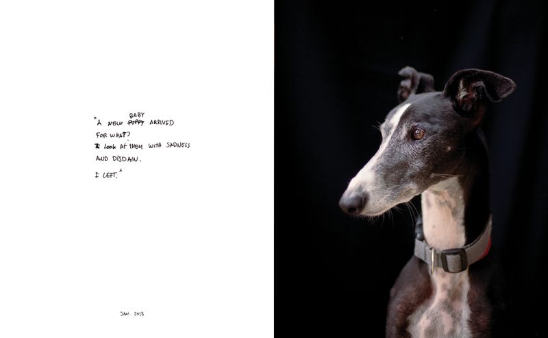 © Lucas Momparler - Image from the Where the acanthus rest photography project