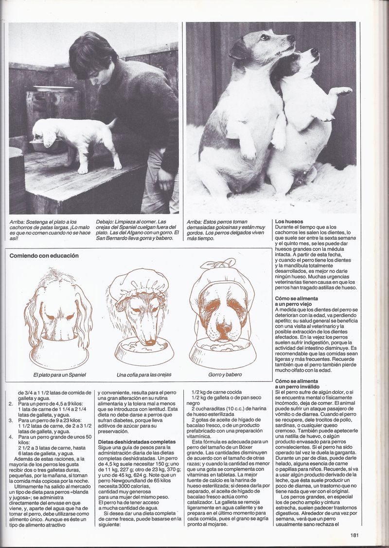 © Lucas Momparler - Image from the Where the acanthus rest photography project