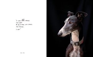 Where the acanthus rest