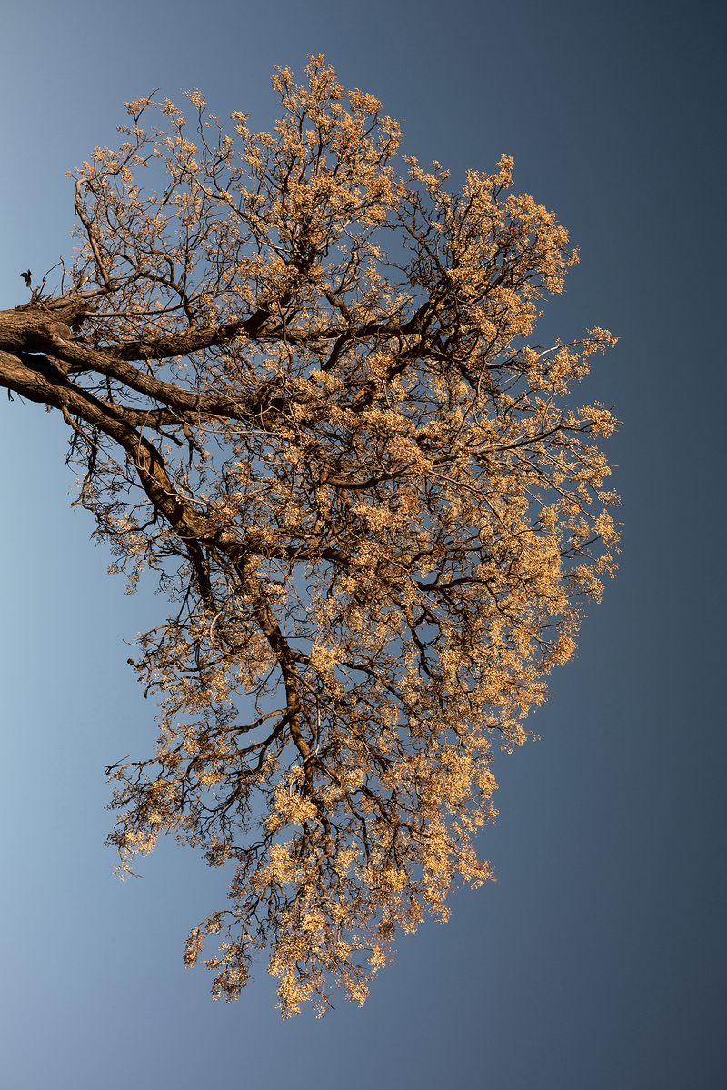 © mfch - Image from the Buscar la Sombra photography project