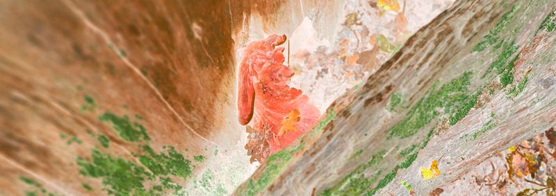 © Rontgen Gu - Image from the Fairy photography project