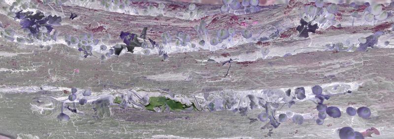 © Rontgen Gu - Image from the Fairy photography project