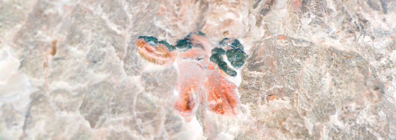 © Rontgen Gu - Image from the Fairy photography project