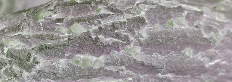 © Rontgen Gu - Image from the Fairy photography project