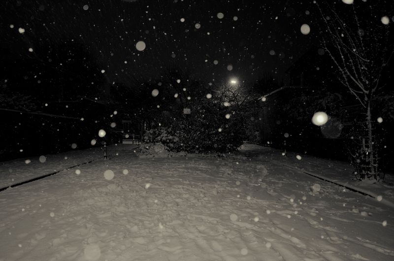 © Rontgen Gu - Image from the Barcarolle photography project