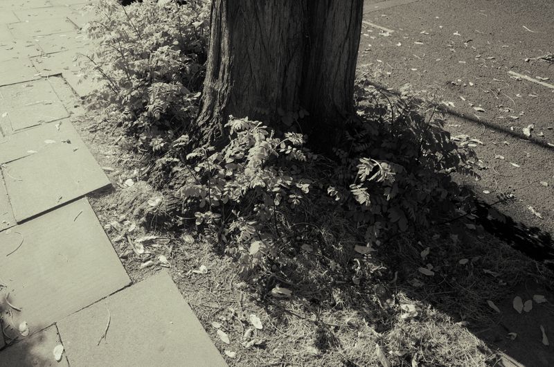 © Rontgen Gu - Image from the Barcarolle photography project