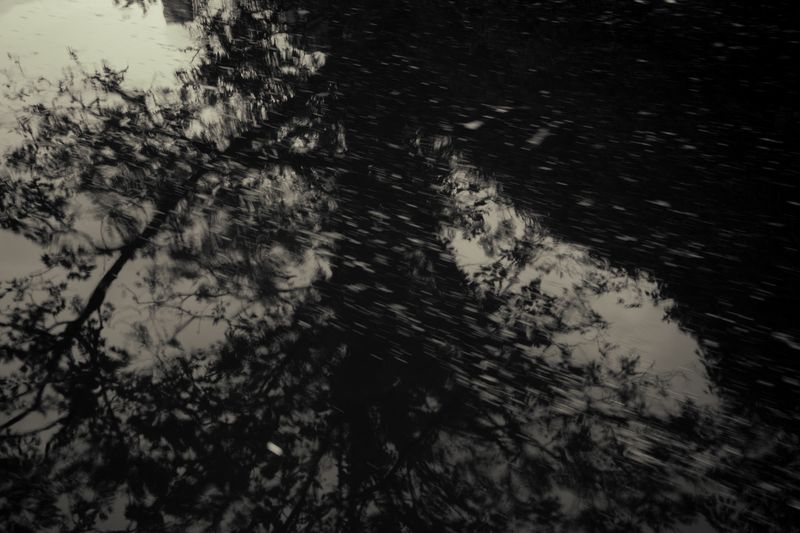 © Rontgen Gu - Image from the Barcarolle photography project