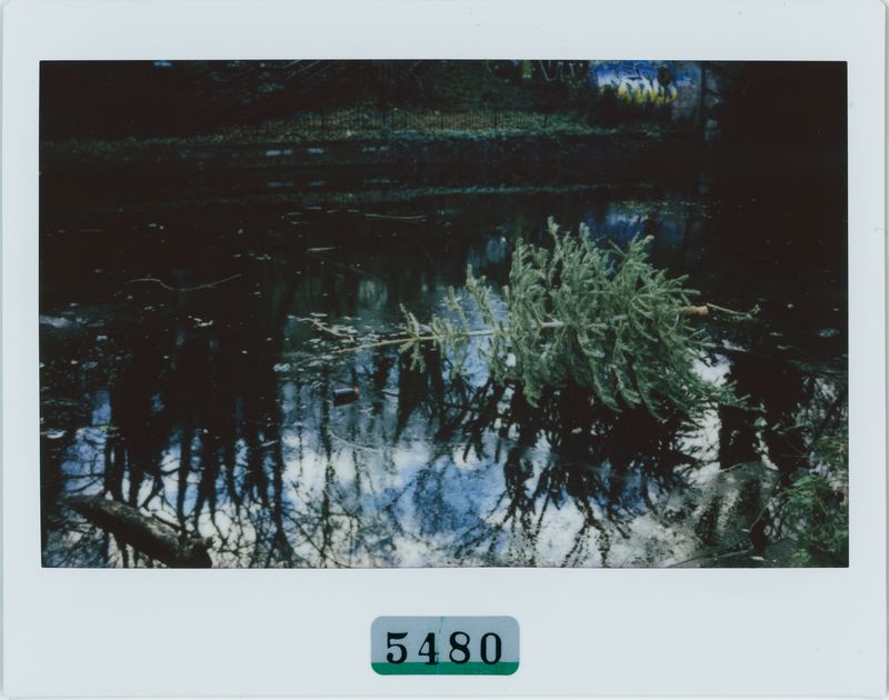 © Rontgen Gu - Image from the Barcarolle photography project