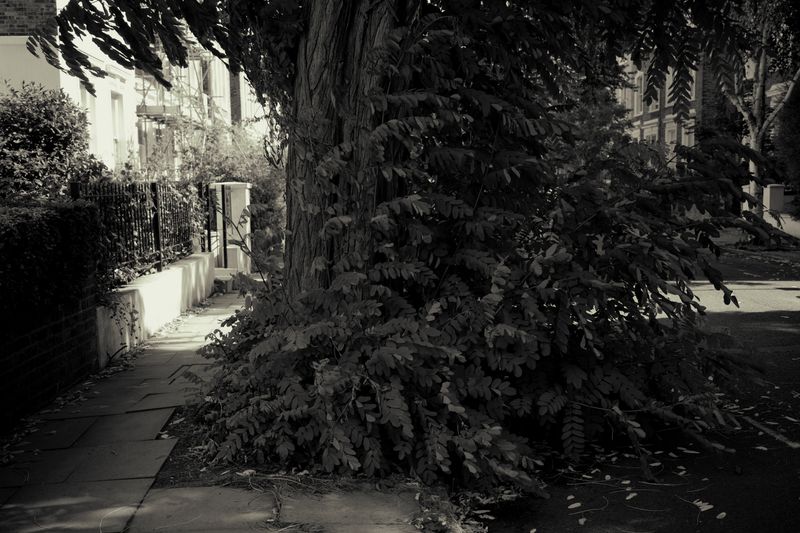 © Rontgen Gu - Image from the Barcarolle photography project