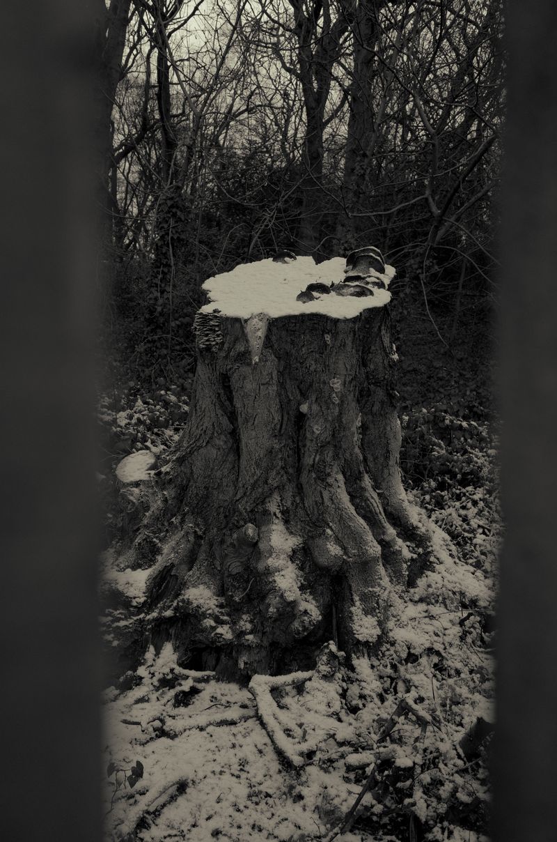 © Rontgen Gu - Image from the Barcarolle photography project