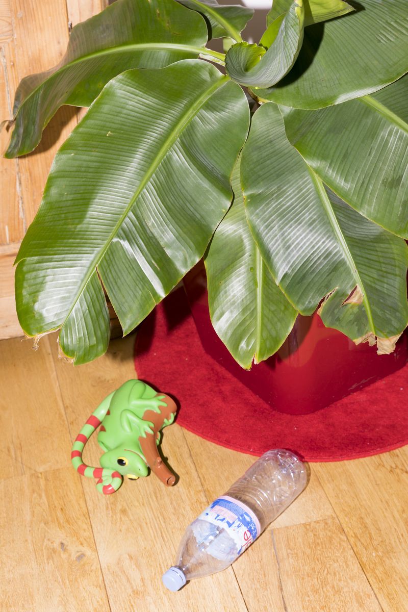 © Céline Alson - Home still life.