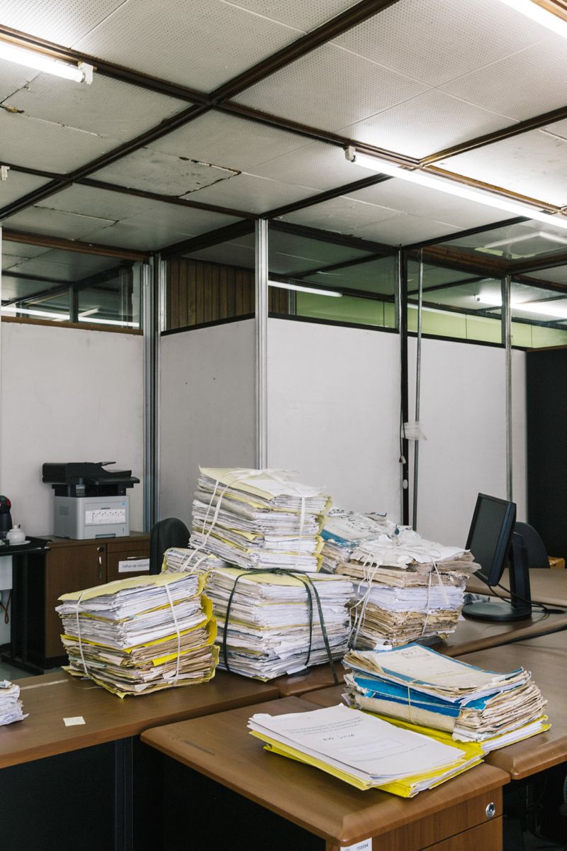 © Gabriel Carpes - Image from the 1000 years from now photography project