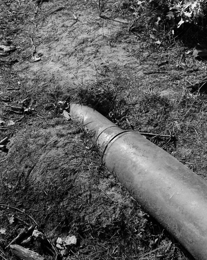 © Dmytro Prutkin - Image from the If a tree falls in a forest photography project