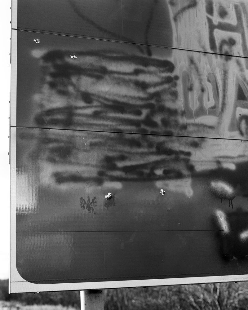 © Dmytro Prutkin - Image from the If a tree falls in a forest photography project