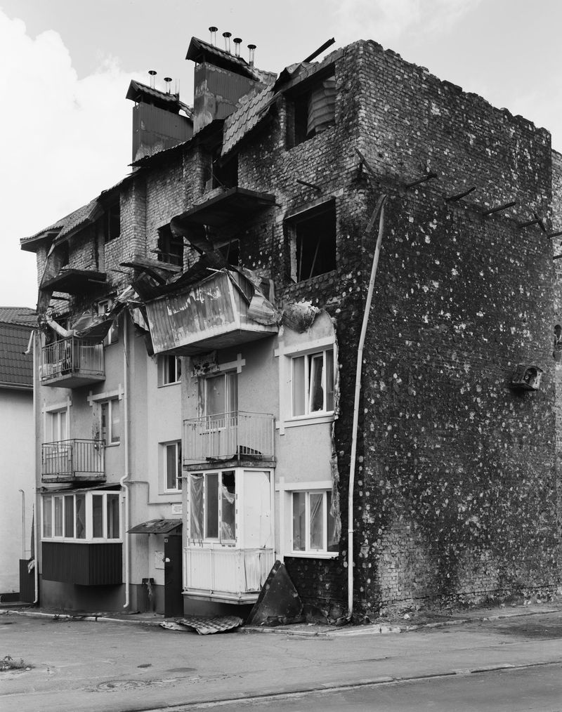 © Dmytro Prutkin - Image from the If a tree falls in a forest photography project