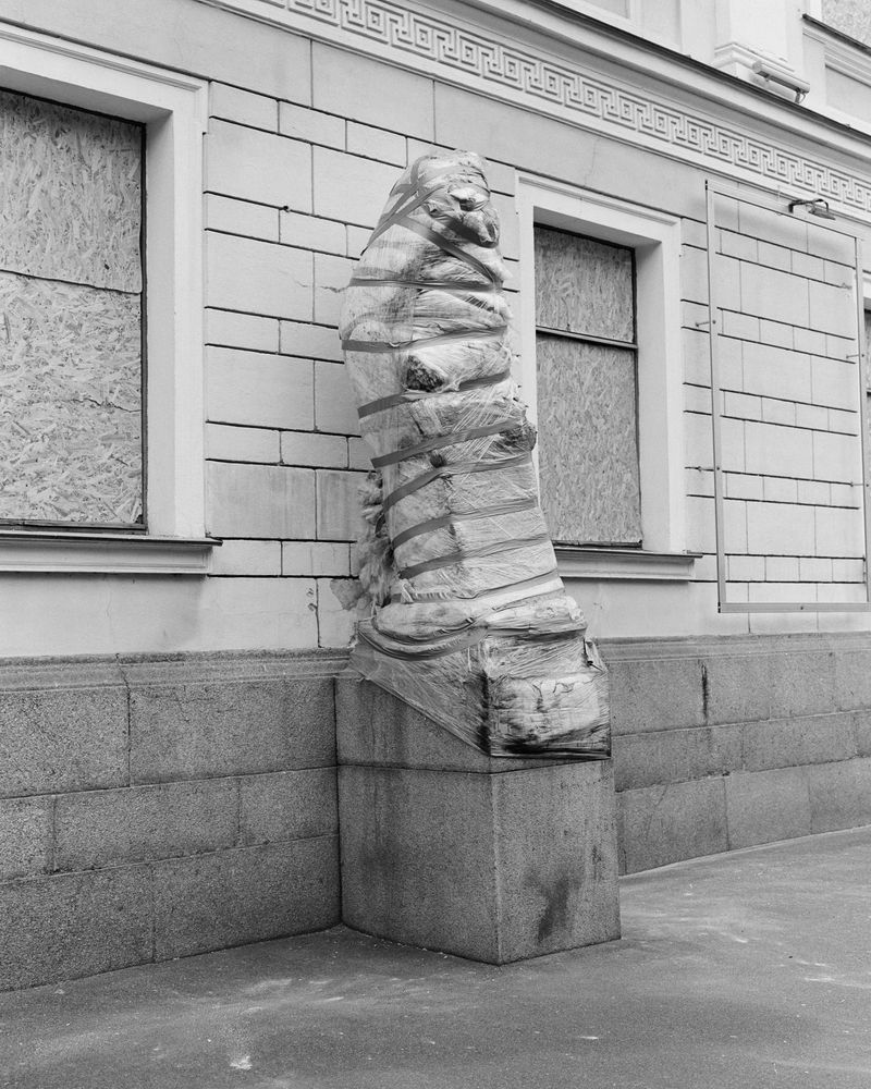 © Dmytro Prutkin - Image from the If a tree falls in a forest photography project