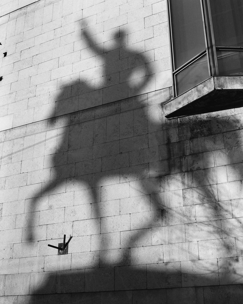 © Dmytro Prutkin - Image from the If a tree falls in a forest photography project