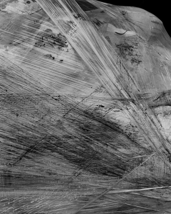 © Dmytro Prutkin - Image from the If a tree falls in a forest photography project