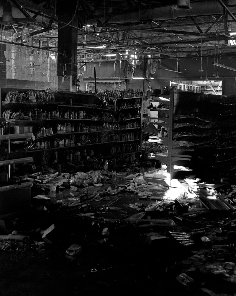 © Dmytro Prutkin - Image from the If a tree falls in a forest photography project