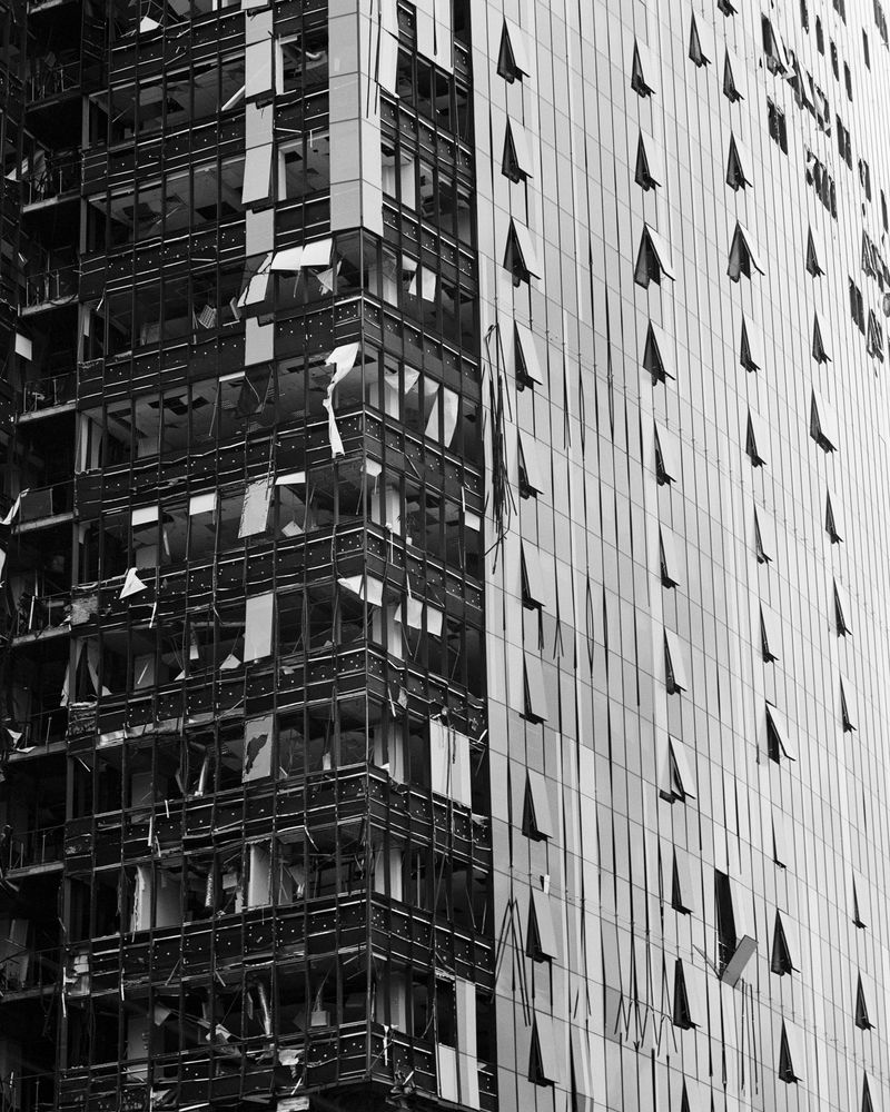 © Dmytro Prutkin - Image from the If a tree falls in a forest photography project