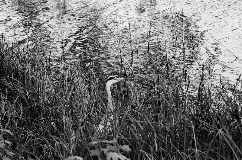 © Erle MORDRET - Image from the Salvation by Water photography project