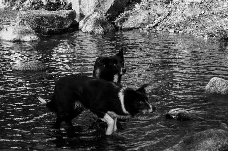 © Erle MORDRET - Image from the Salvation by Water photography project