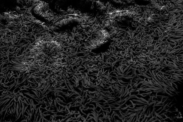 © Erle MORDRET - Image from the Salvation by Water photography project