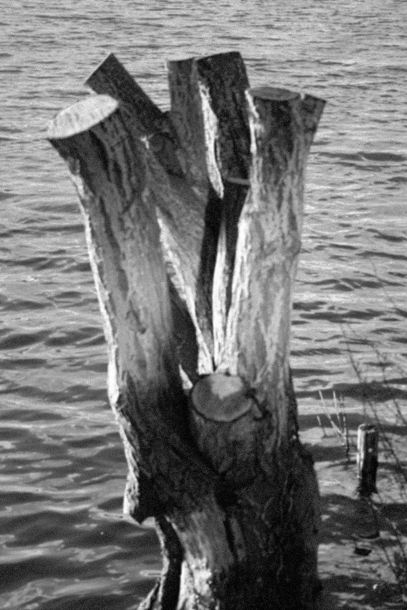 © Erle MORDRET - Image from the Salvation by Water photography project