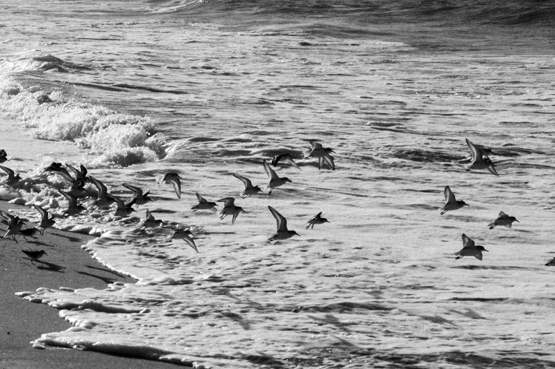 © Erle MORDRET - Image from the Salvation by Water photography project