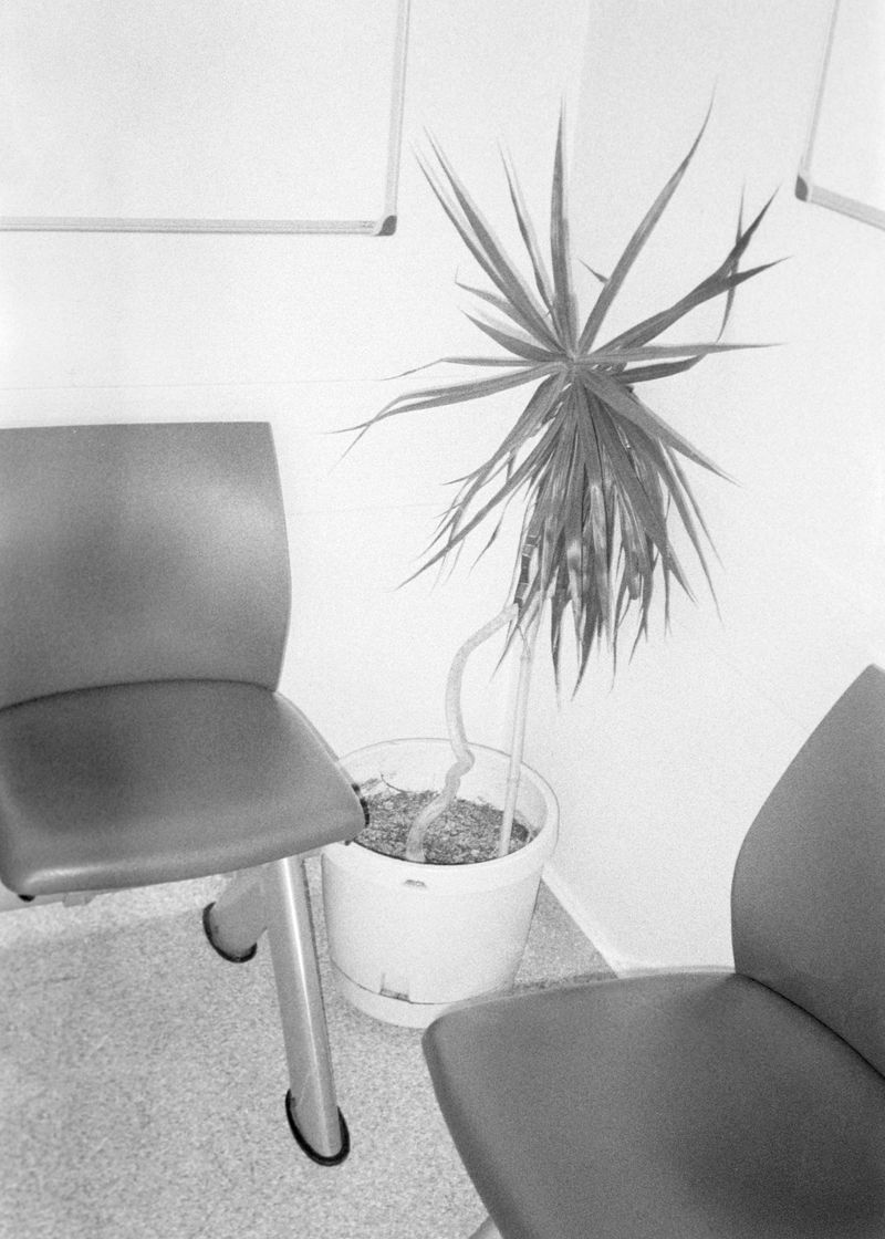 © Beatriz de Souza Lima - Image from the Trajectories photography project