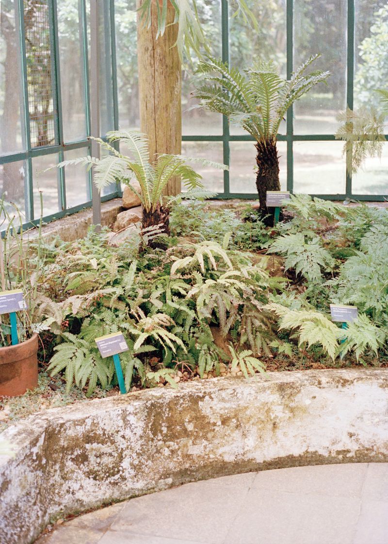 © Beatriz de Souza Lima - Image from the Trajectories photography project