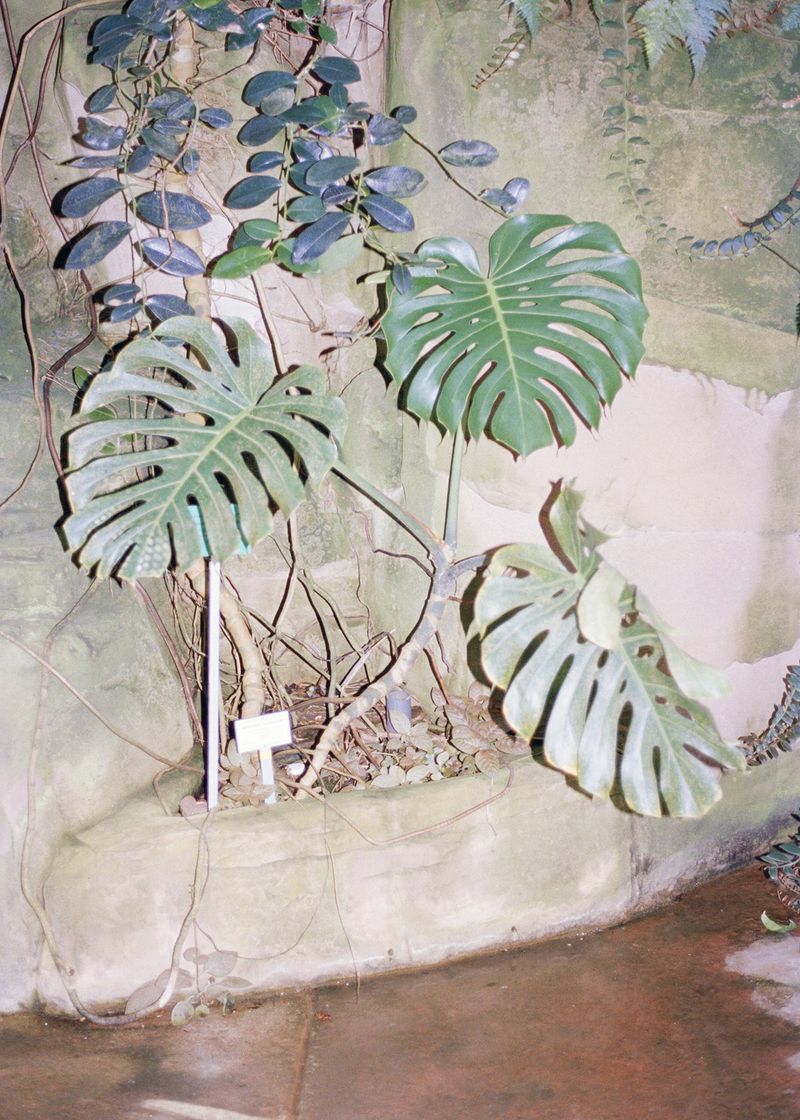 © Beatriz de Souza Lima - Image from the Trajectories photography project
