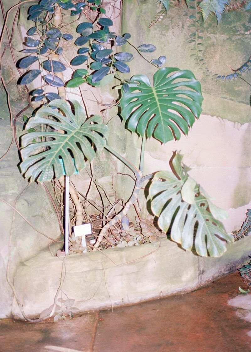 © Beatriz de Souza Lima - Image from the Trajectories photography project