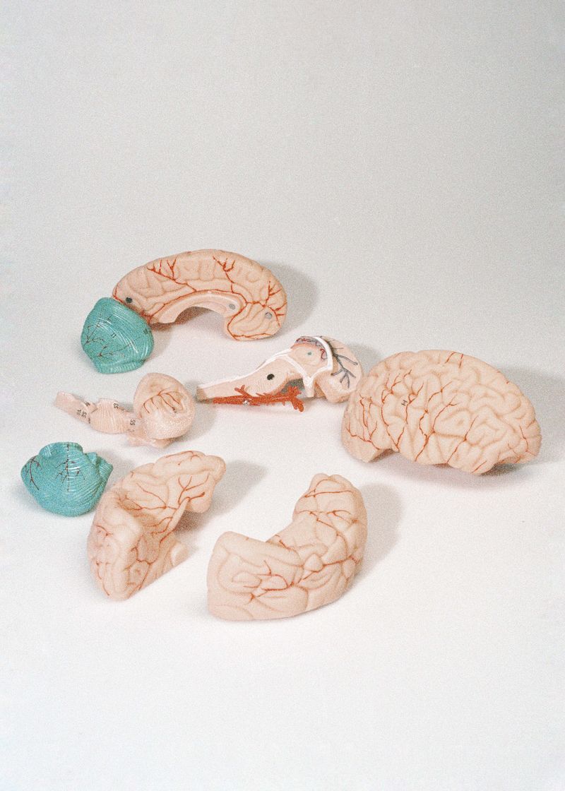 © Beatriz de Souza Lima - Image from the Trajectories photography project