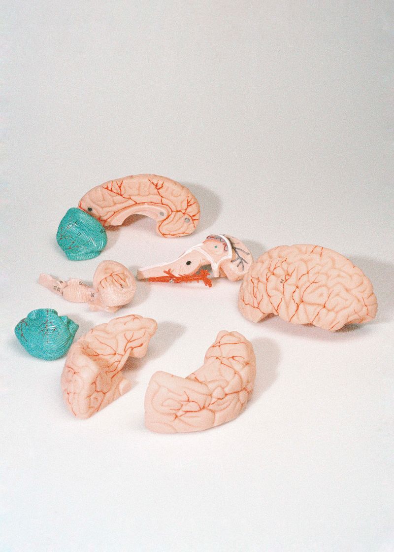 © Beatriz de Souza Lima - Image from the Trajectories photography project