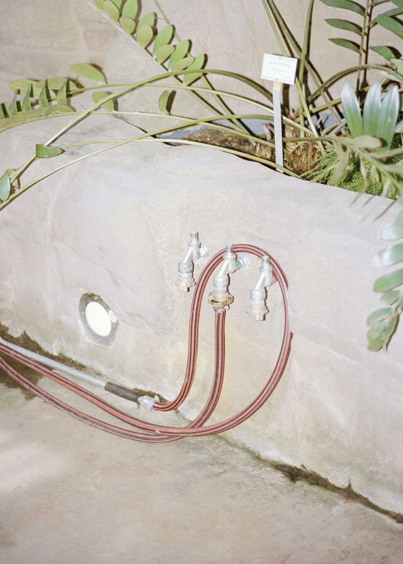 © Beatriz de Souza Lima - Image from the Trajectories photography project