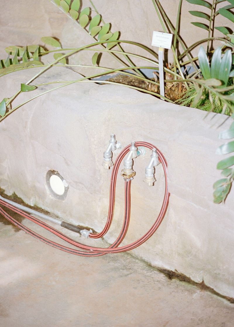 © Beatriz de Souza Lima - Image from the Trajectories photography project