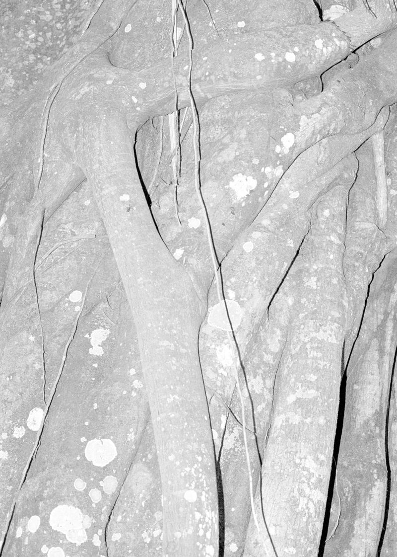 © Beatriz de Souza Lima - Image from the Trajectories photography project