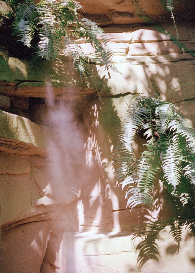 © Beatriz de Souza Lima - Image from the Trajectories photography project