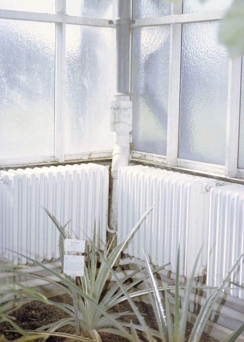 © Beatriz de Souza Lima - Image from the Trajectories photography project