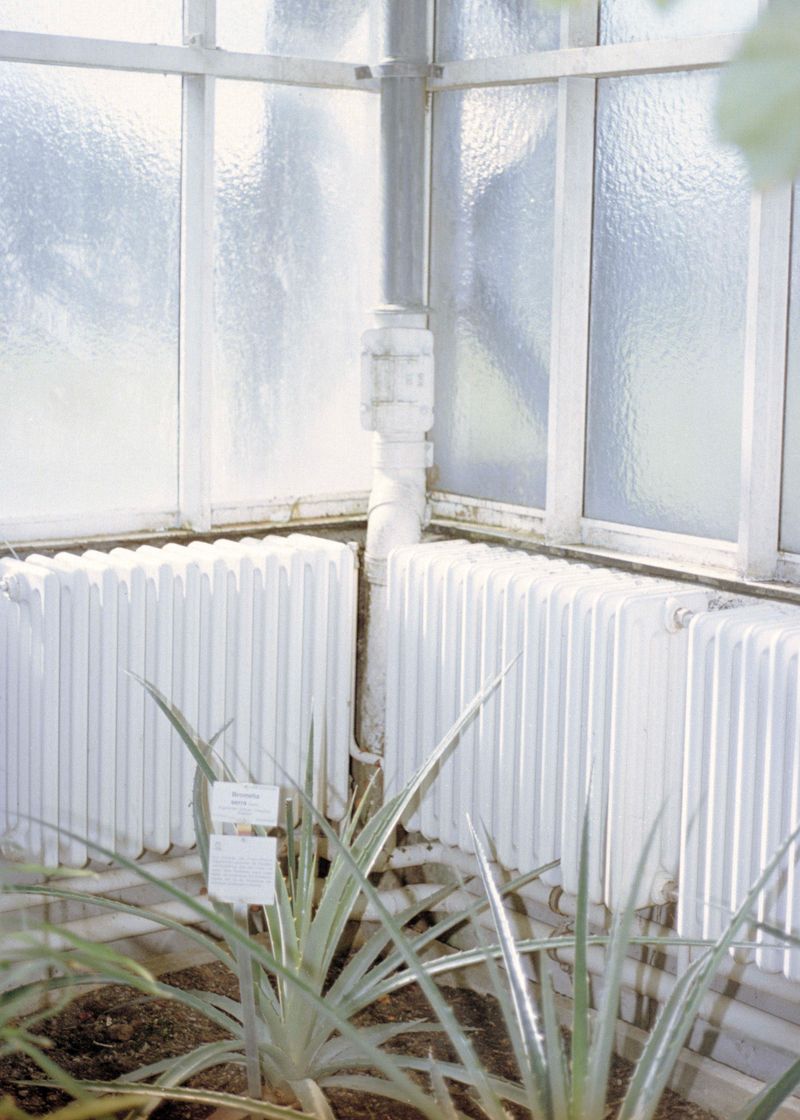 © Beatriz de Souza Lima - Image from the Trajectories photography project