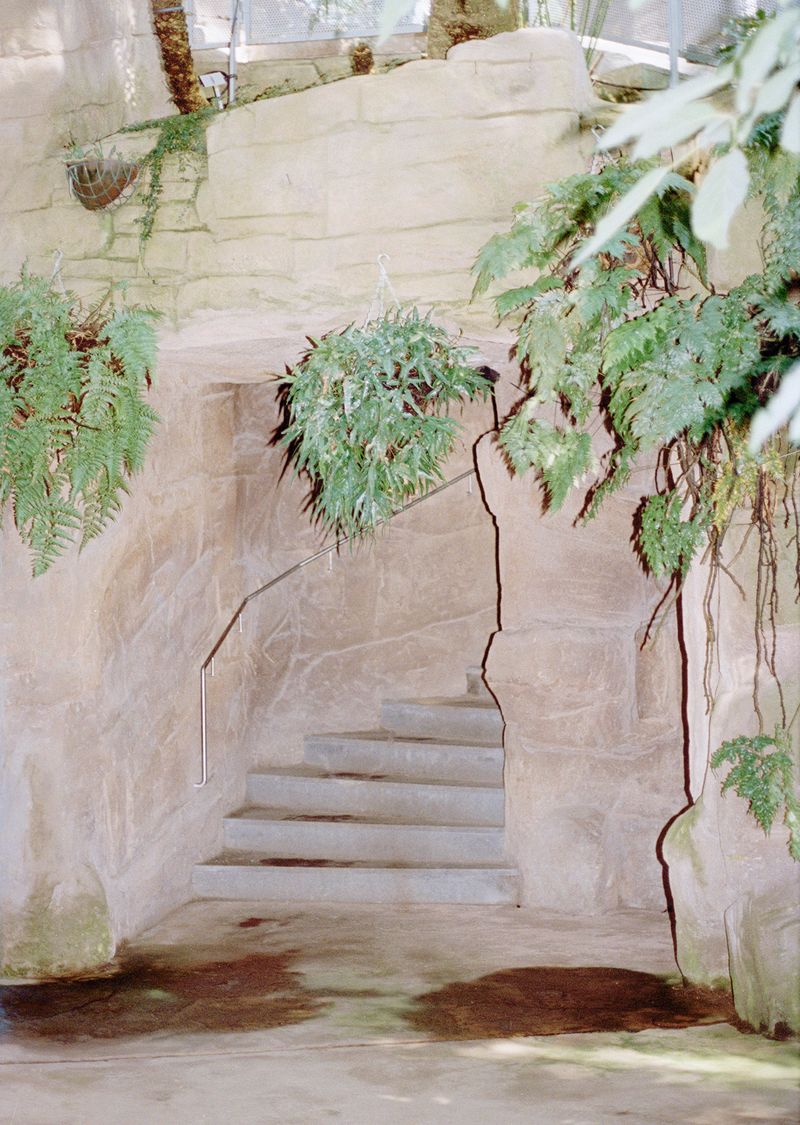 © Beatriz de Souza Lima - Image from the Trajectories photography project