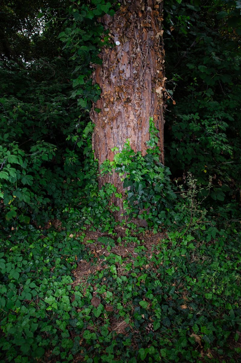 © Marina Silvestri - Image from the 2 Marys photography project