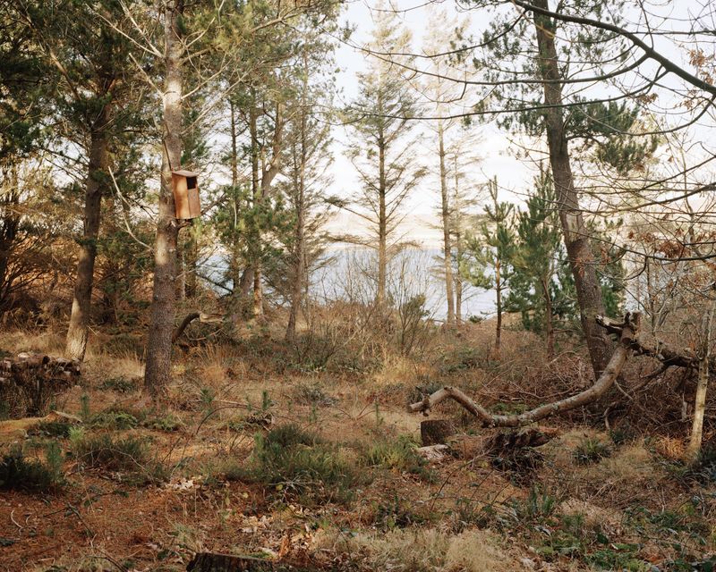 © 1 2 - Image from the News from Nowhere photography project