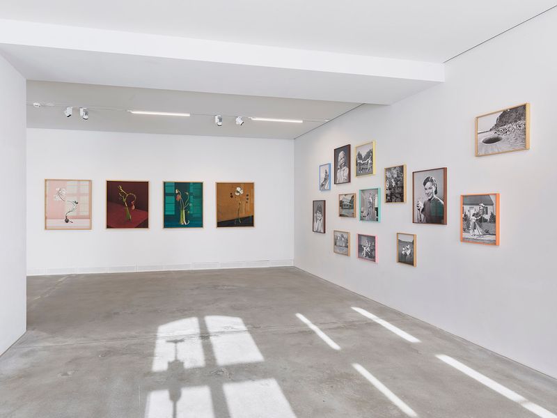 © Grażyna Siedlecka - AUSNAHMEZUSTAND installation view, courtesy ZAK Zentrum für Aktuelle Kunst, Berlin. Photo by Eric Tschernow